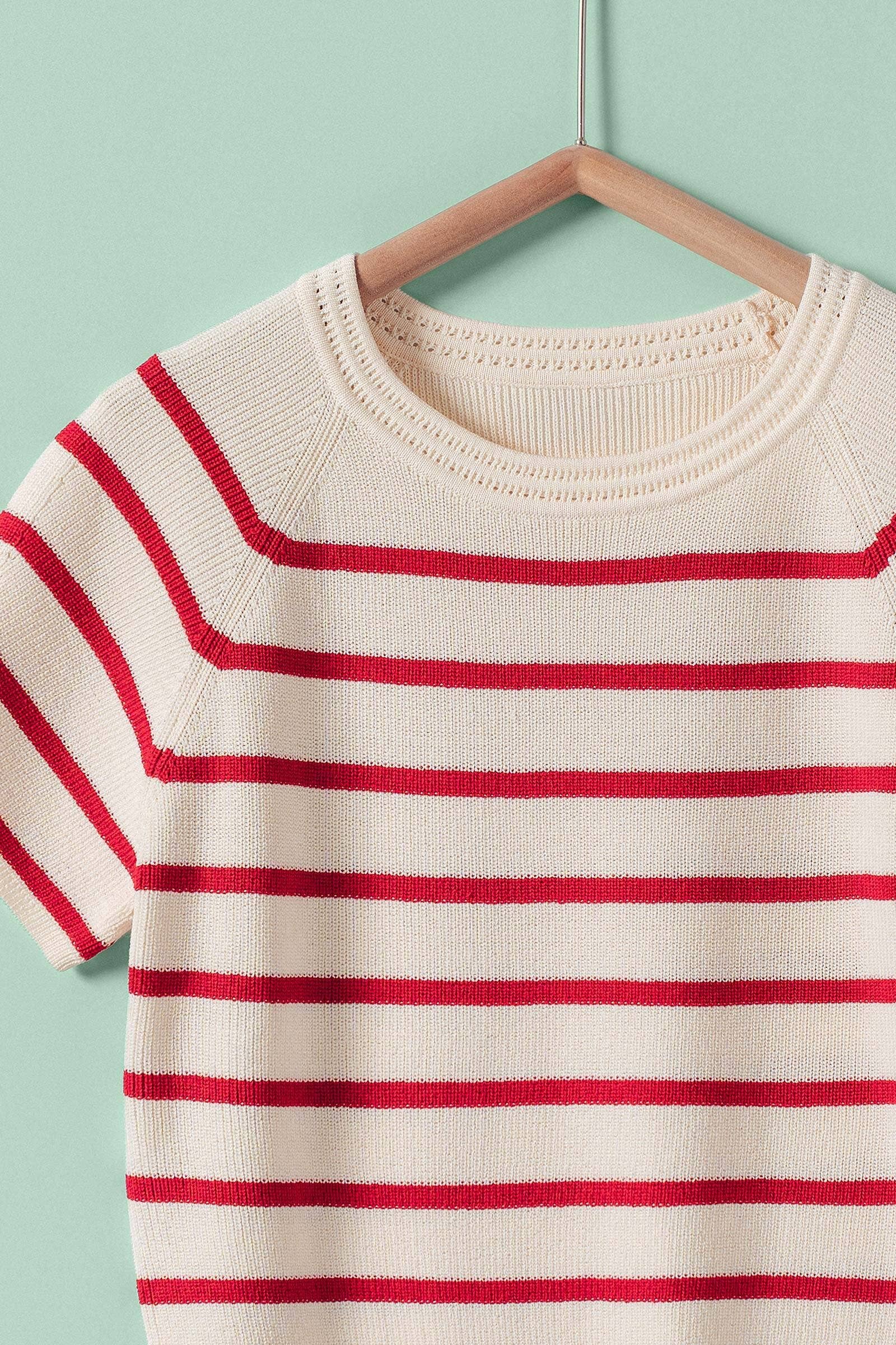 Classic Striped Raglan Sleeve Knit Top 