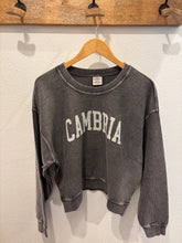Load image into Gallery viewer, Cambria Cropped Pullover oat collective
