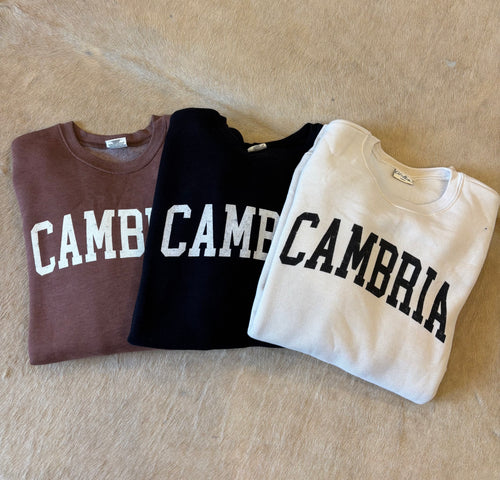 Cambria Sweatshirt oat collective