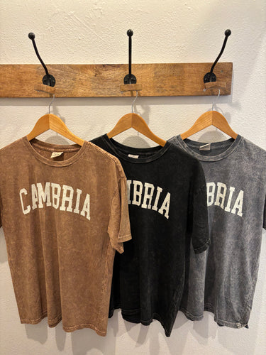 Cambria Tee oat collective