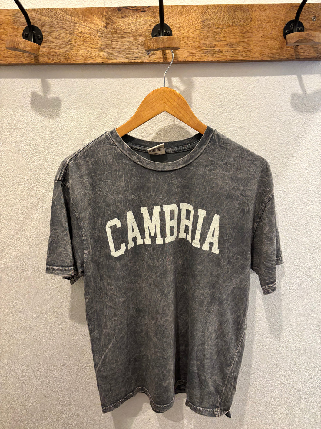 Cambria Tee oat collective