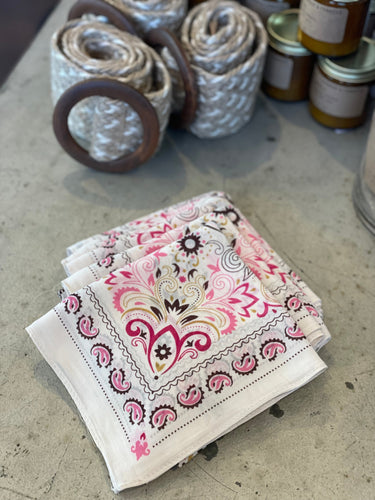 Pretty Paisley Bandana Bounding Main