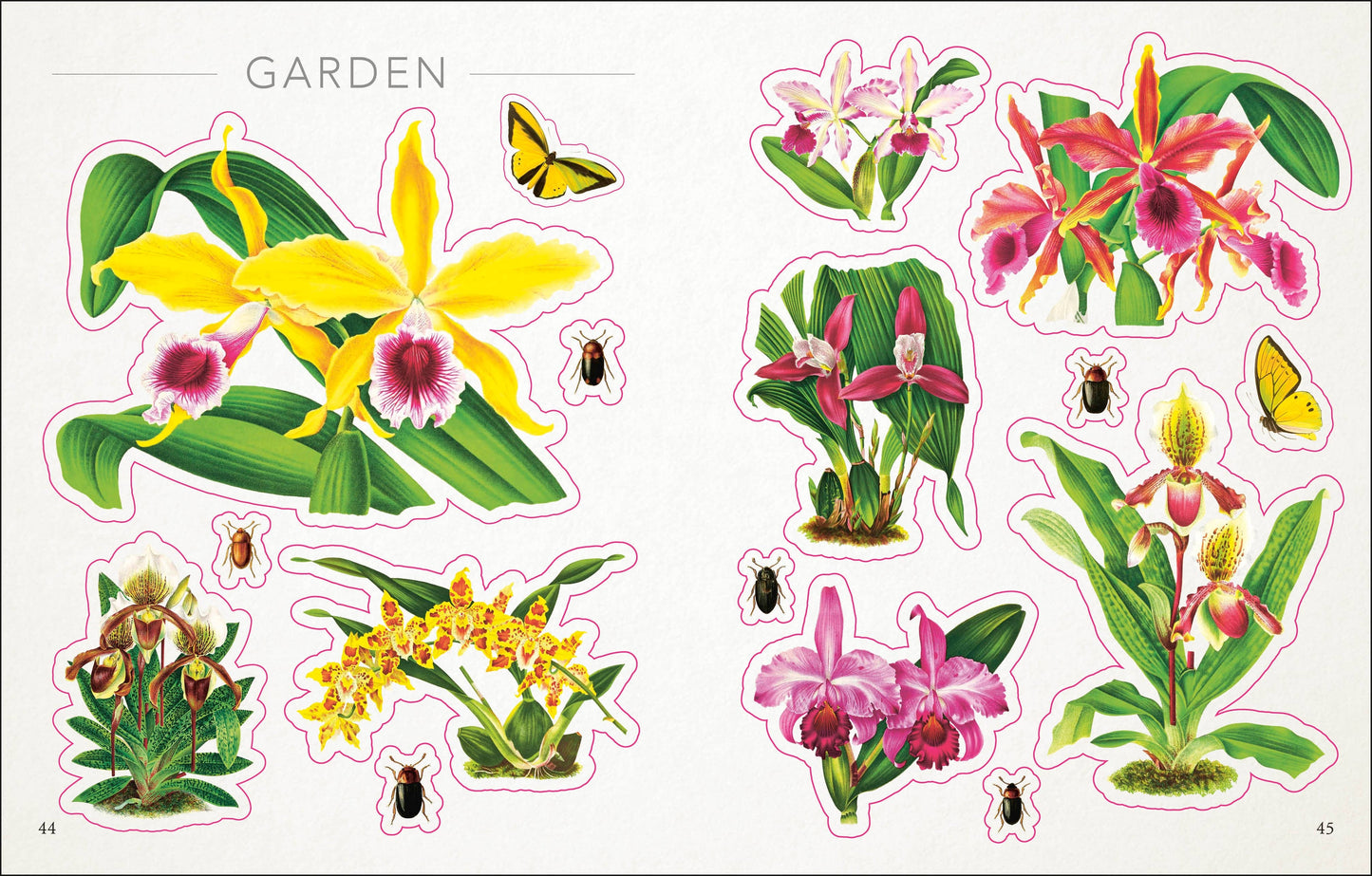 Botanist's Sticker Anthology 