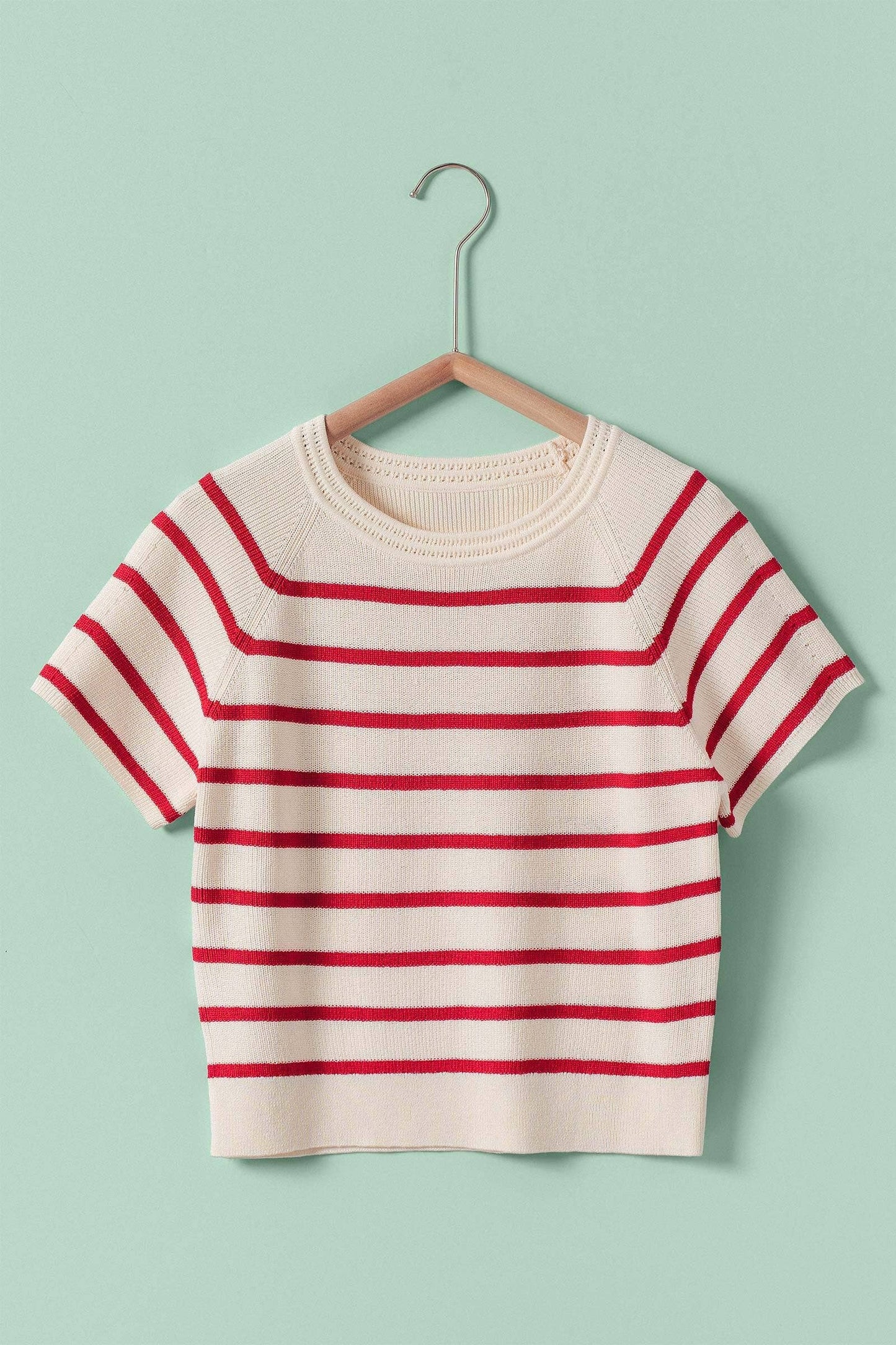 Classic Striped Raglan Sleeve Knit Top 