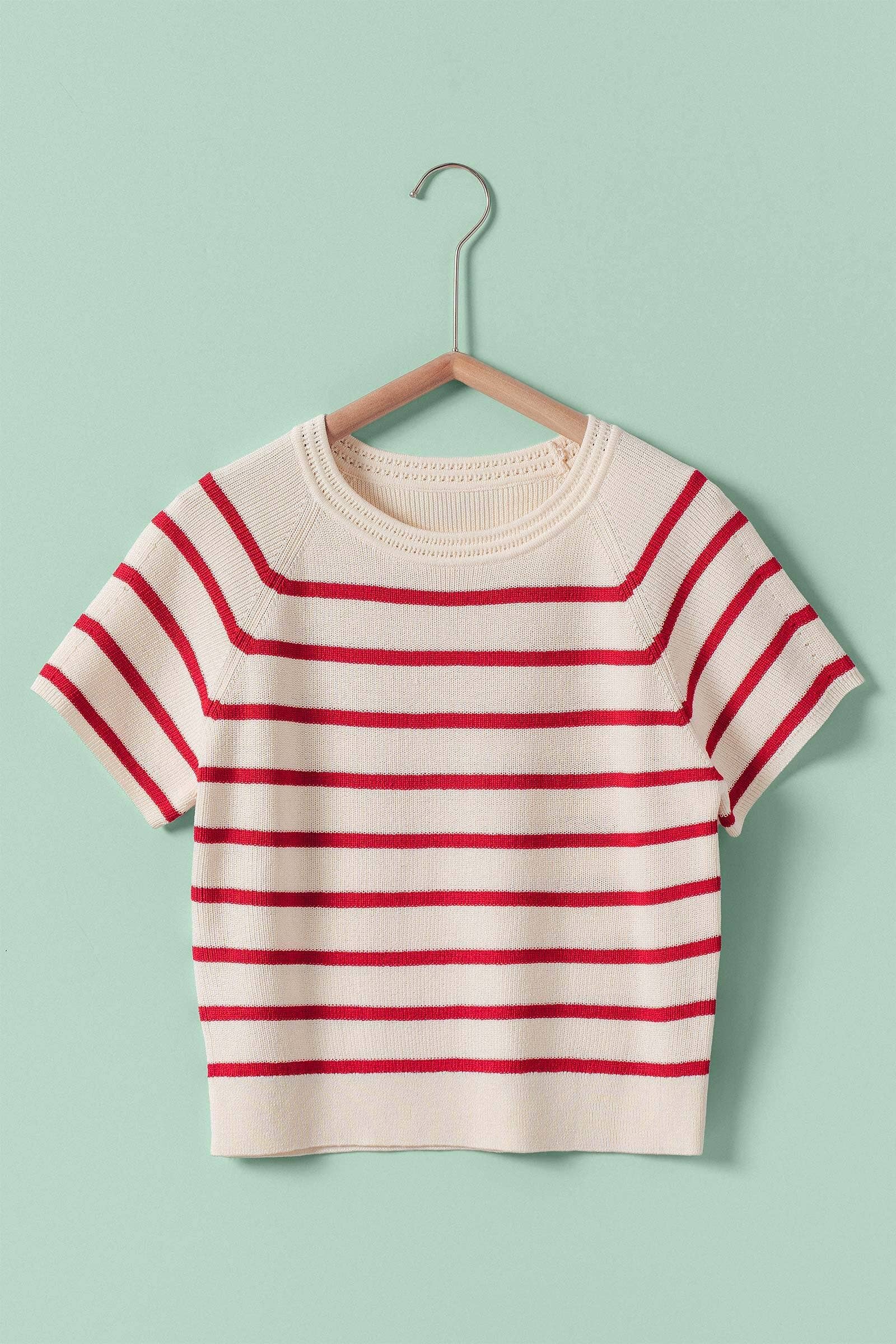 Classic Striped Raglan Sleeve Knit Top 