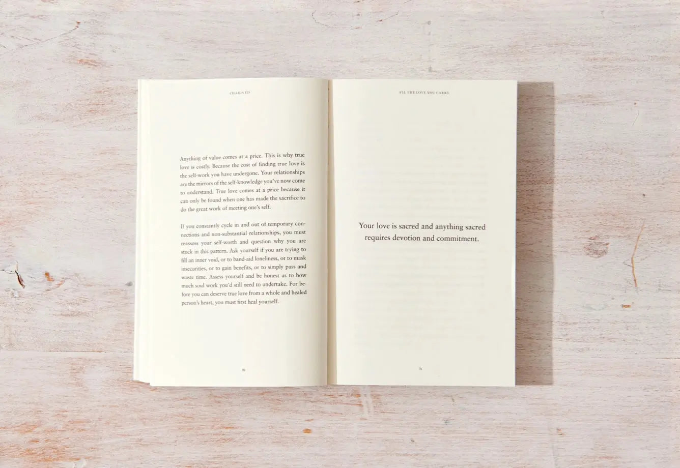 All The Love You Carry Book Thought Catalog