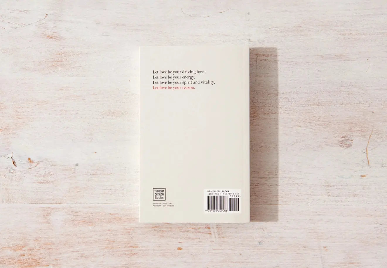 All The Love You Carry Book Thought Catalog